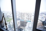 Giraffe on the City Sill