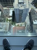 Overlooking the Urban Metropolis