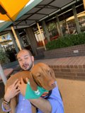 Dining with a Furry Companion