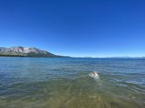 Mountain Swimming