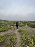 Coastal Adventure with Furry Friends