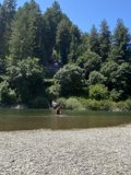 Amidst the Wilderness