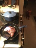 Canine Cuisine