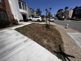 Neighborhood Bliss