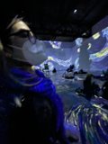 Starry Night in the Aquarium
