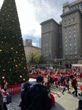 A Majestic Christmas Tree in the Heart of Union Square