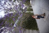 Woman Beneath Blooming Jacaranda Tree on Urban Sidewalk