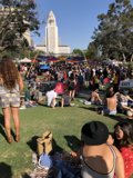 A Park Gathering