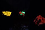 The Enchanting Glow of a Mysterious Treasure