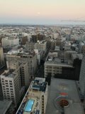 Urban Jungle