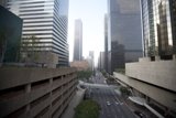 The Urban Jungle