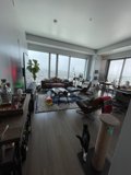 Cozy Living Room with Feline Friend