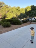 Autumn Afternoon in Carmel