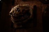 Mighty Predator