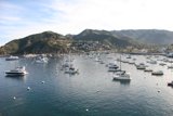 Serenity at the Harbor