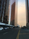 A Metropolis in Motion