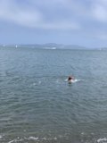 A Day of Fun in the San Francisco Bay