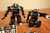 Robotic Companions