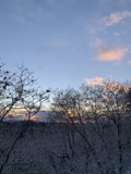 Winter Wonderland