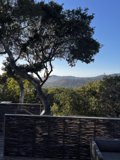 Captivating View of the Mountain Range