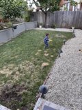 Backyard Adventures