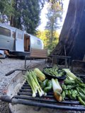 Grilling Goodness with a View