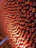 Wall of Skulls at a Mexican Festival
