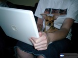 Laptop Love