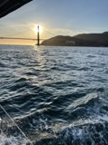 Sunset Sail under the Golden Gate Bridge