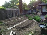 Serene Backyard Garden with Wooden Fence and Tree