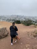 Walking with My Furry Friend