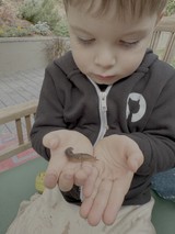 Child Gently Observing Small Slug in Hands