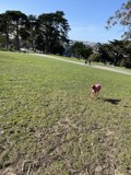 Playtime in the Park