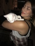 A Feline Friend