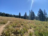 Wanderlust in the Georgetown Mountains