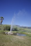 Majestic Old Faithful Geyser of Calistoga