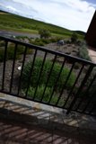 Serenity at Bouchaine Vineyards