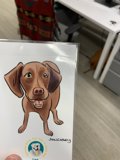 Puppy Prescription