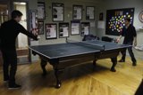 Ping Pong Fun in Royal Oak