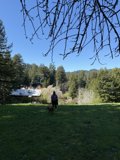 A Stroll Through Nature's Serenity