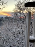 Winter Wonderland