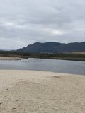 The Serenity of Carmel Beach