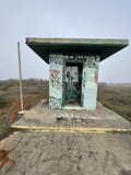 A Dog's Stroll by a Graffiti-Laden Shelter
