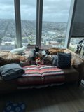 Cozy Afternoon on the Couch