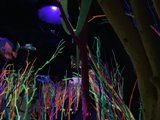 Urban Jungle Club