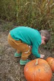 Autumn Discoveries