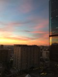 Sunset over the Urban Jungle
