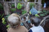 Nature's Wonder Through Young Eyes