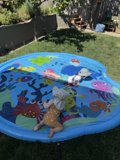 Splashes of Joy