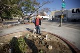 Urban Gardening
